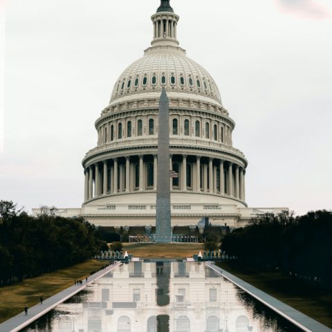 congress and lobbying