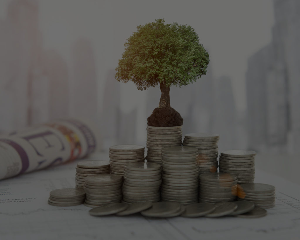 investment